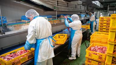 Mitarbeitende eines Schlachthofs