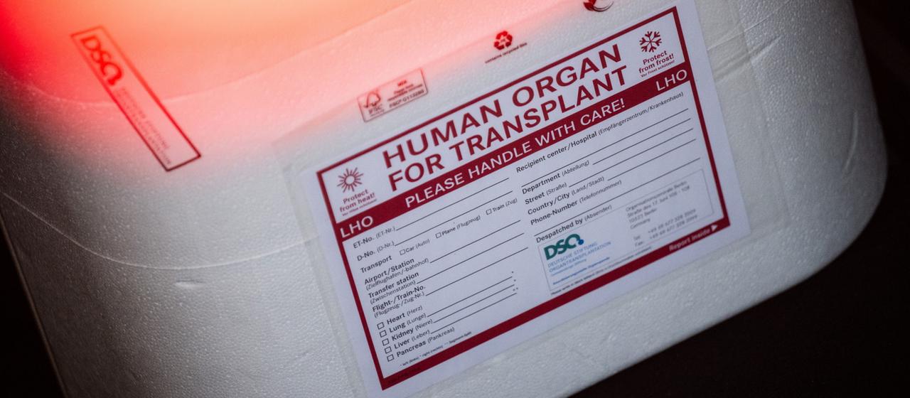 Eine Kühlbox für eine Organspende steht in einem Transporter des Deutschen Roten Kreuzes.