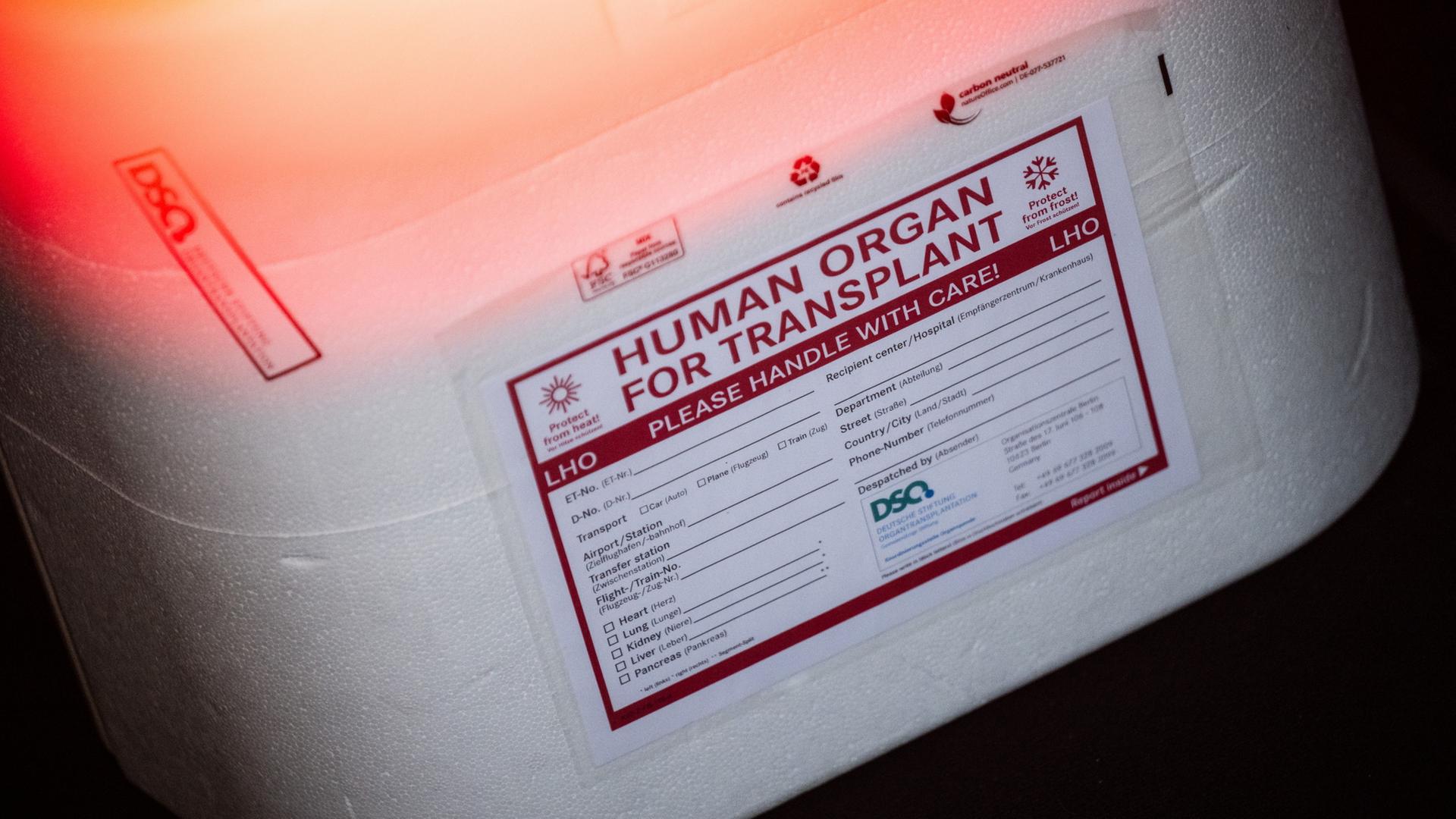 Eine Kühlbox für eine Organspende steht in einem Transporter des Deutschen Roten Kreuzes. | dpa