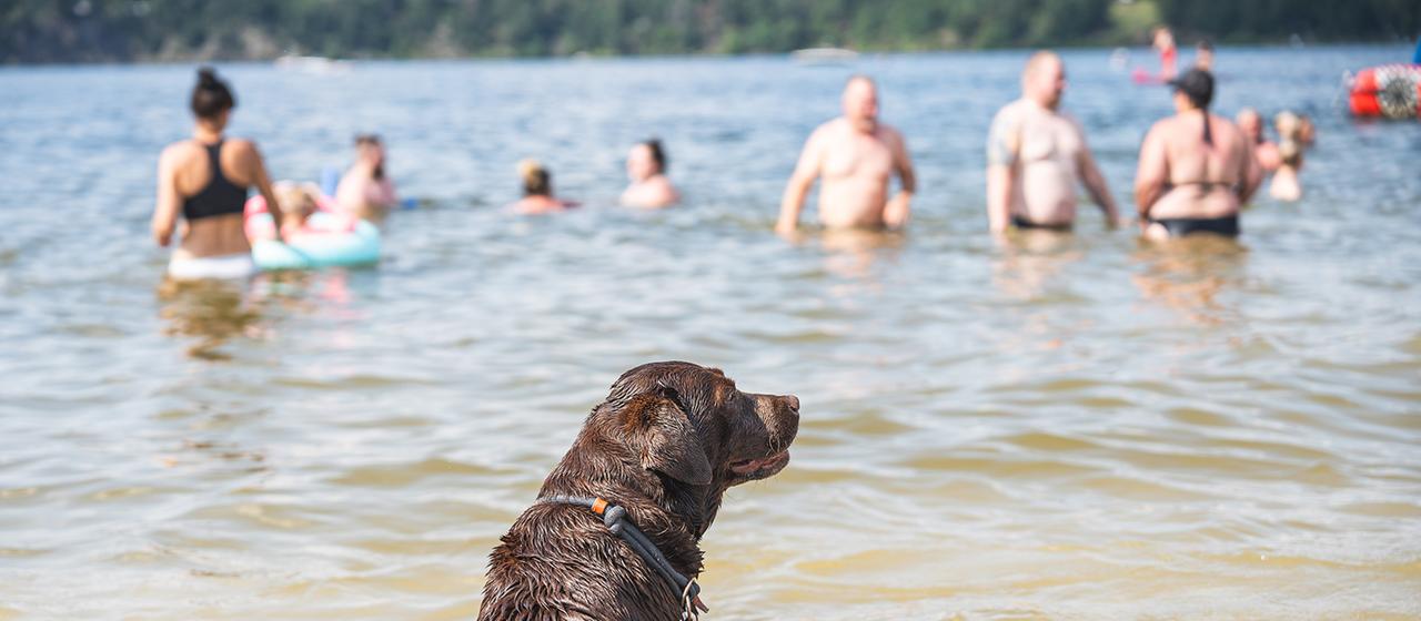 Menschen stehen im Wasser eines Sees.