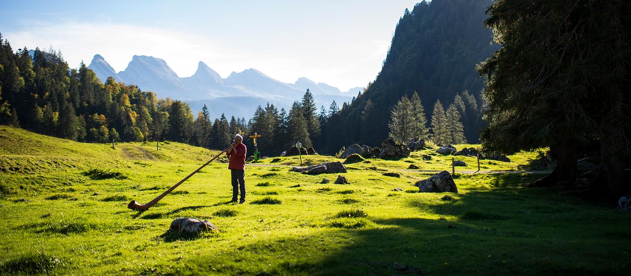 Ein Mann spielt sein Alphorn in freier Natur auf der Alp Laui (Schweiz), im Hintergrund die Bergkette der Churfirsten.