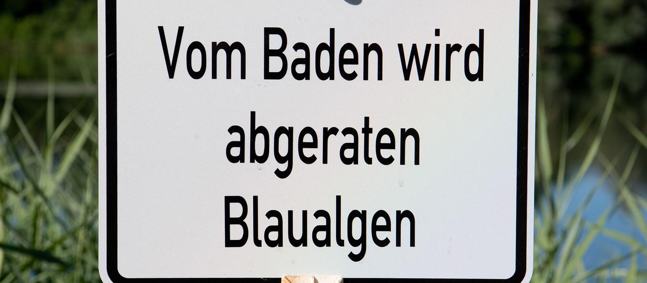 Ein Schild an einem Ufer zeigt:" Vom Baden wird abgeraten Blaualgen".