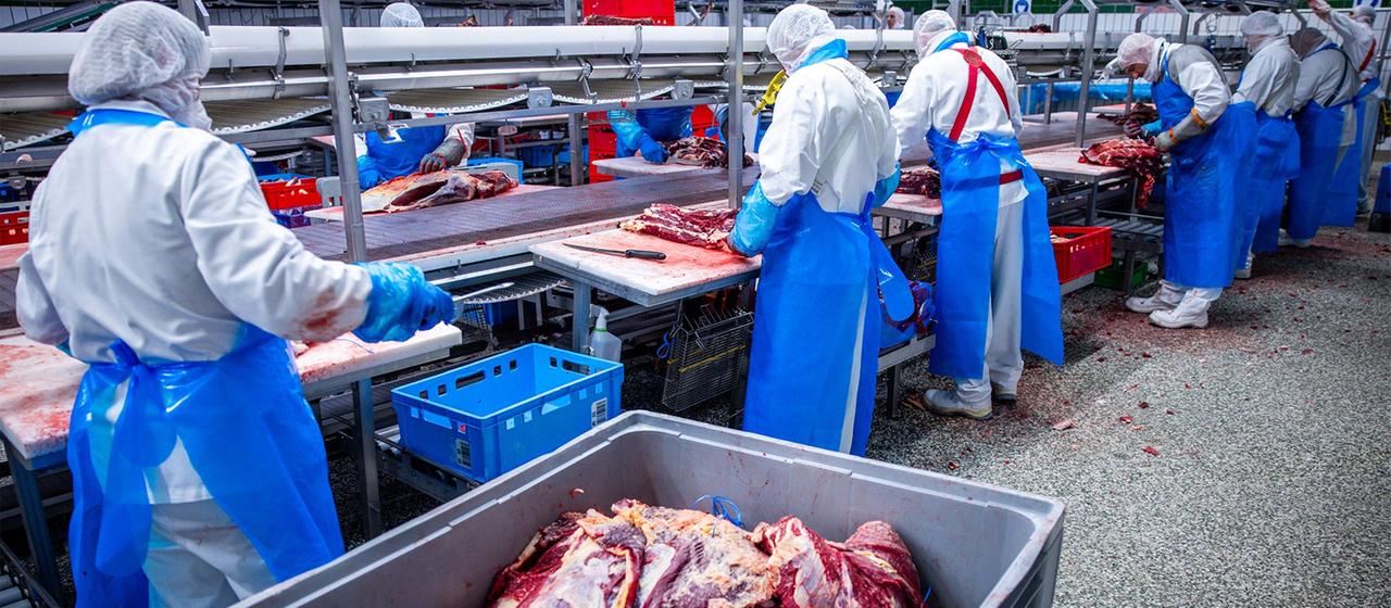 Wie Arbeiter für die Fleischindustrie angelockt werden