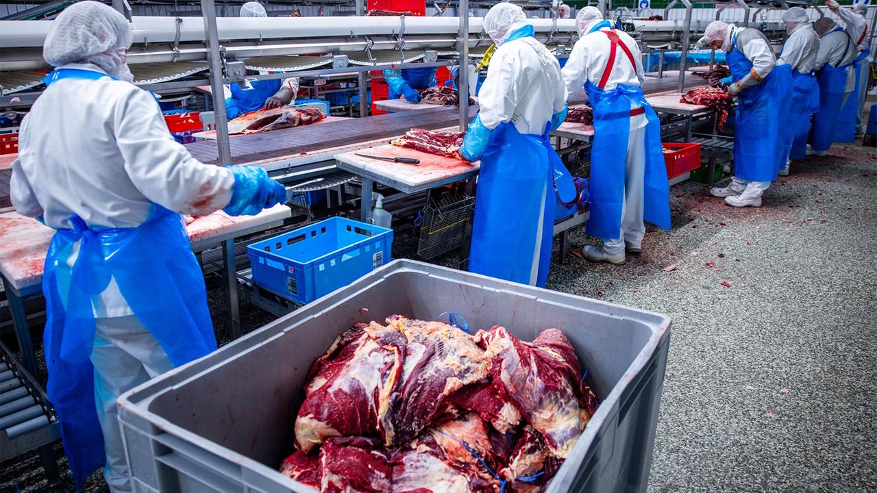 Vorwürfe der Ausbeutung in der deutschen Fleischindustrie
