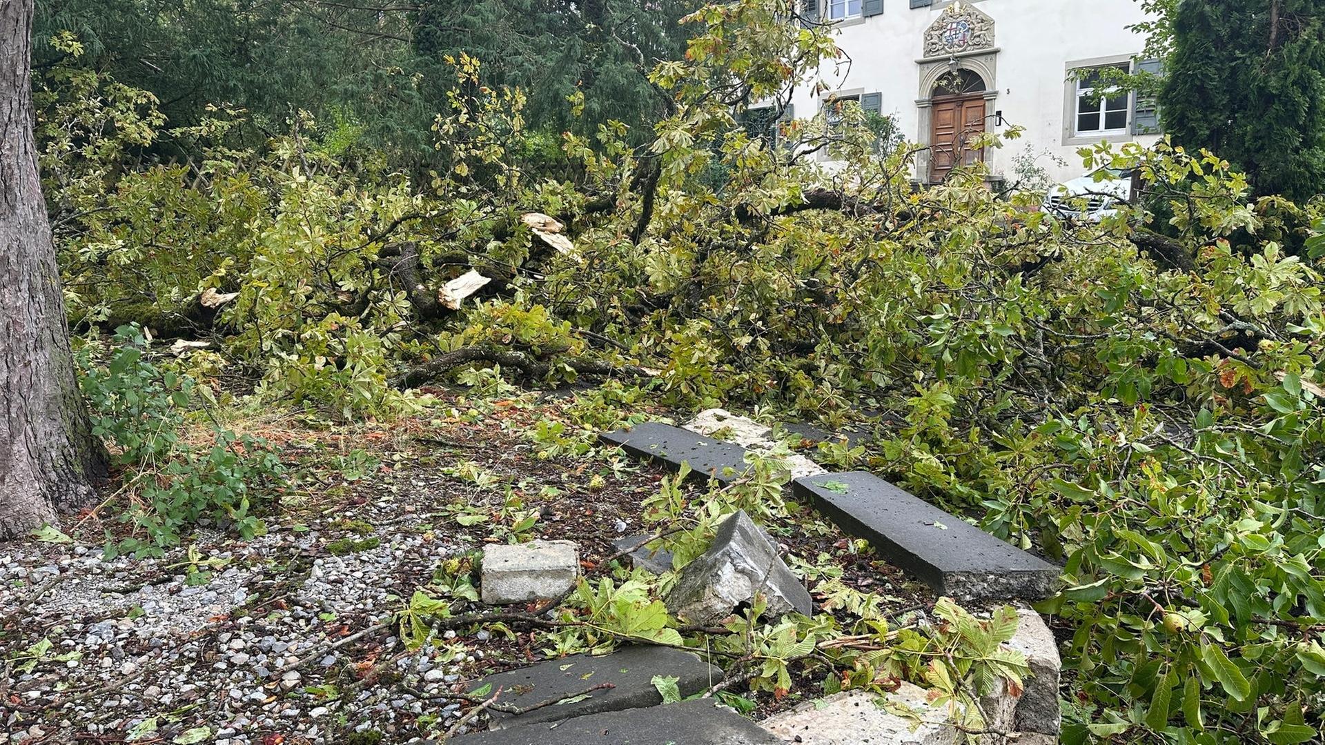 Das Unwetter verwüstete Teile des Singener Ortsteils Bohlingen. | SWR, Gerald Pinkenburg