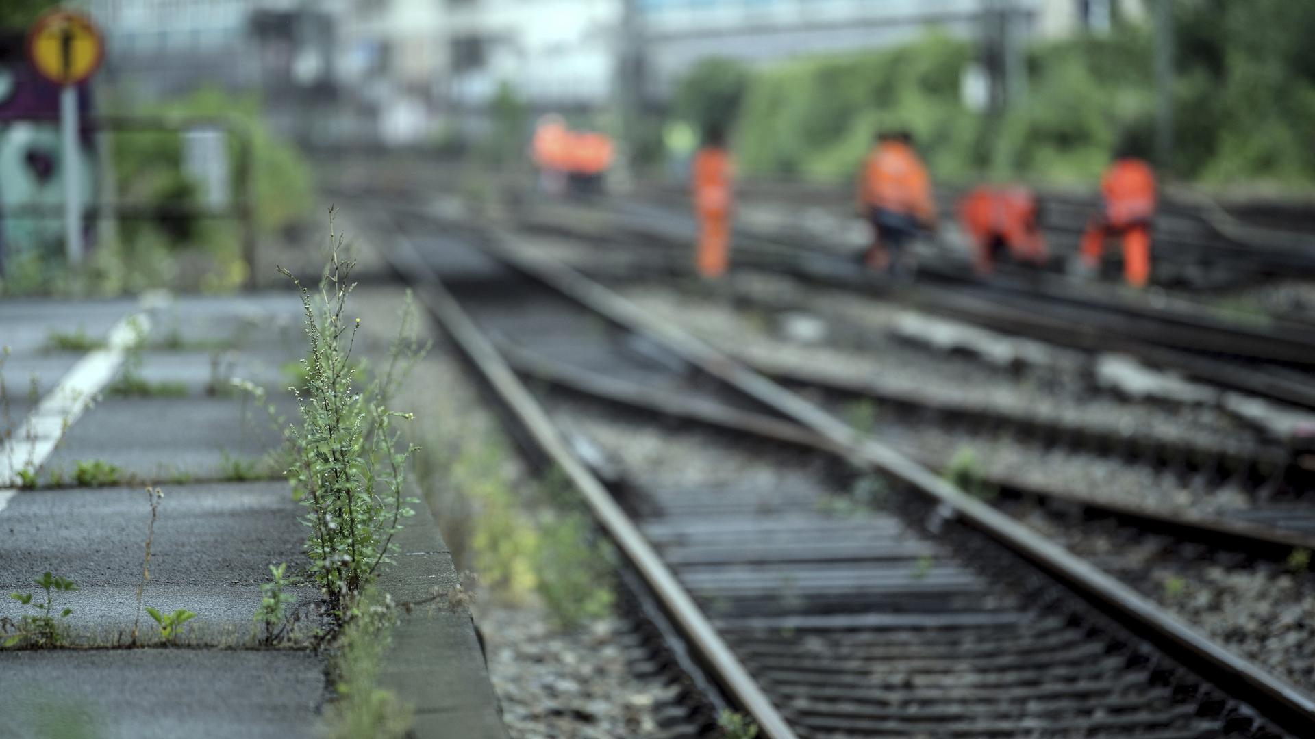 Bahngleise mit mehreren Gleisarbeitern im Hintergrund | WDR Bilddatenbank