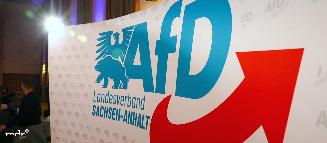 Schriftzug und Logo des AfD Landesverbandes Sachsen-Anhalt.