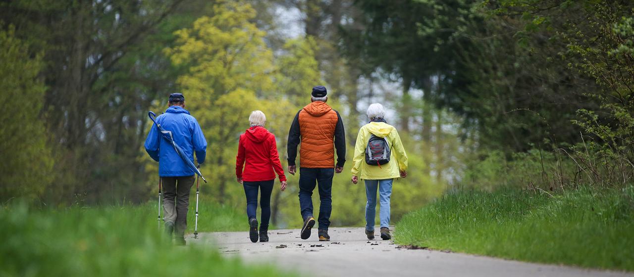 Wanderer sind auf einem Wanderweg unterwegs.