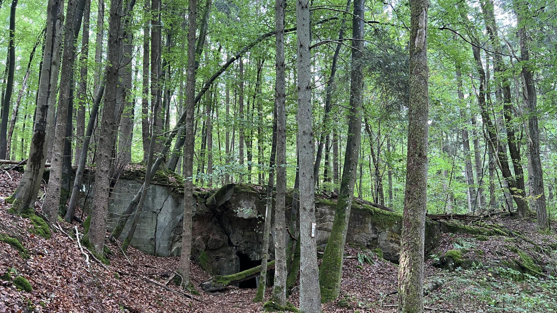 Schilder des Westwall-Weges in Kirkel entfernt