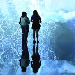 Gäste betrachten die ausgestellten digitalen Kunstwerke während eines Medienaufrufs für die Ausstellung "Marshmallow Laser Feast: Werke der Natur".