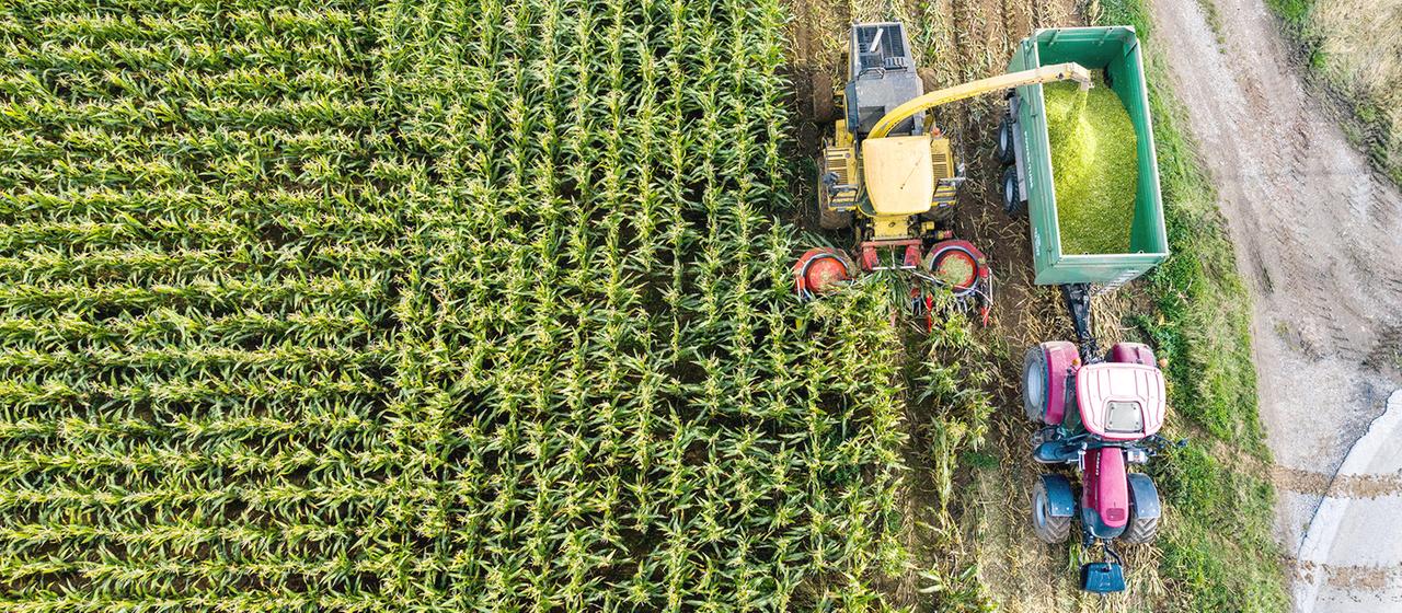 EU plant weniger Bürokratie für Landwirte EU plant weniger Bürokratie für Landwirte