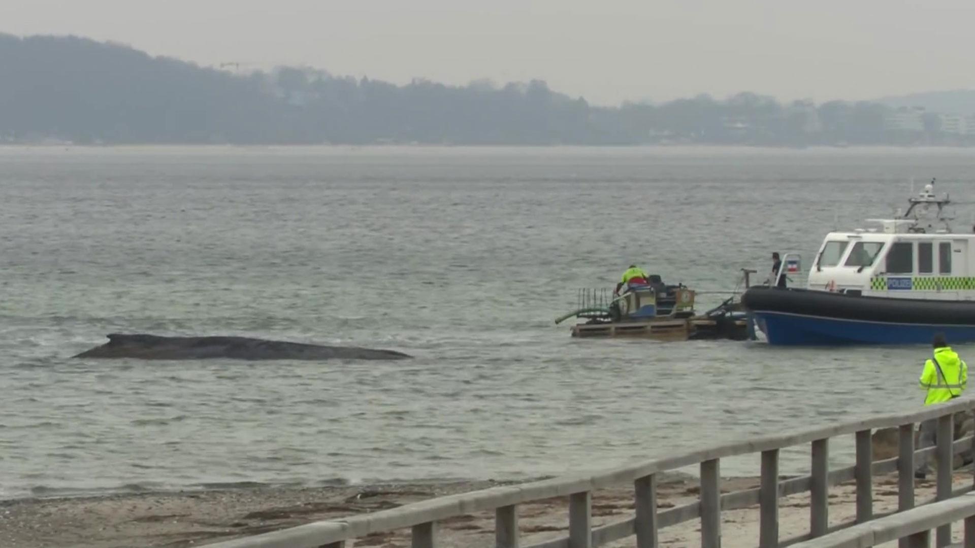 Sendungsbild | ARD-aktuell