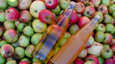In einer Mosterei liegen zwei Flaschen mit klarem und naturtrüben Apfelsaft auf Äpfeln