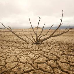 Eine ausgetrocknete Fläche nahe Kapstadt, Südafrika