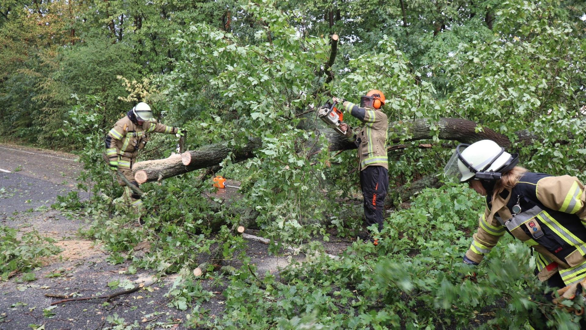 Heftiges Unwetter sorgt für zahlreiche Notrufe in Hockenheim