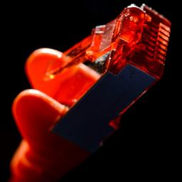 Netzwerkkabel