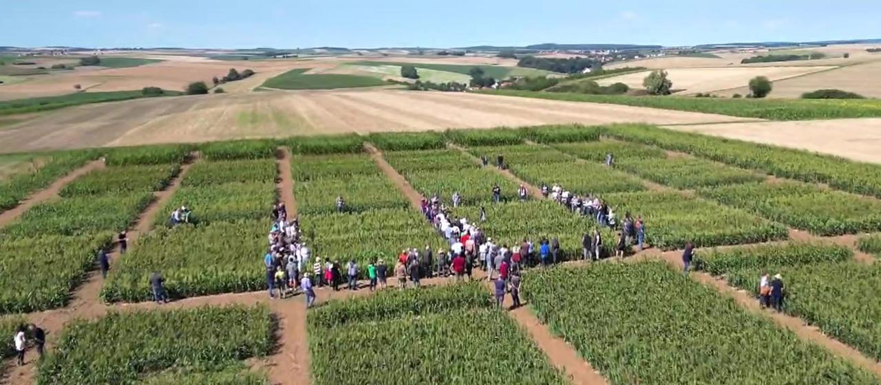 Sendungsbild | ARD-aktuell Luftaufnahme von zu Forschungszwecken angelegten Feldern