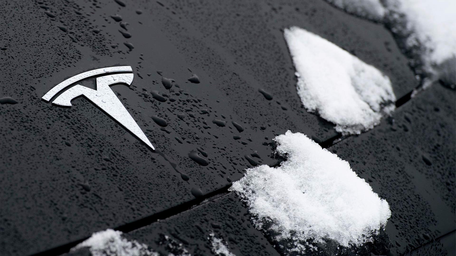 Das Tesla-Logo ist auf einer schneebedeckten Motorhaube zu sehen. | picture alliance / BILDBYRÃN