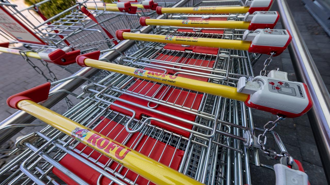 Rofu : ce qu'il faut savoir — image 3