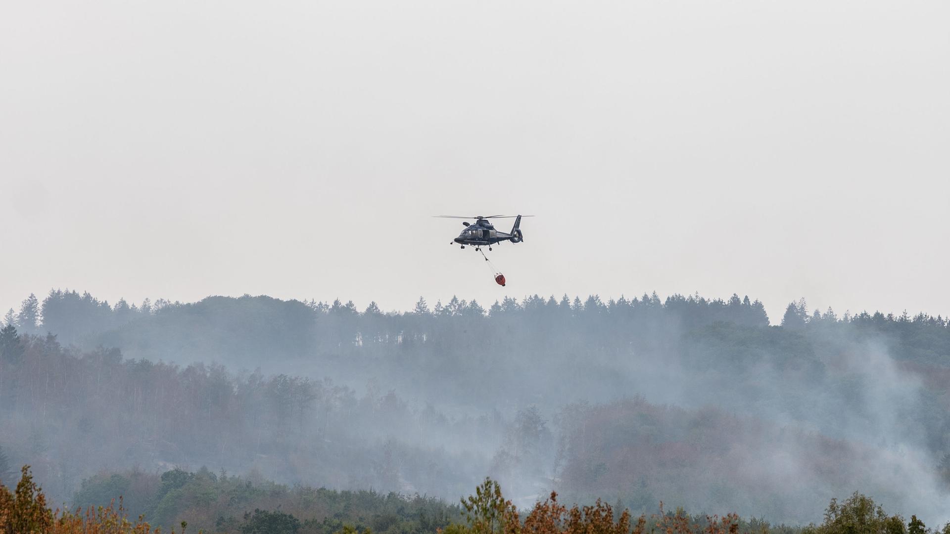 Brandgeruch aus der Eifel zieht bis nach Hessen
