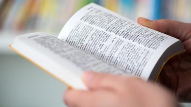 Eine Frau schaut in ein Italienisch-Wörterbuch.