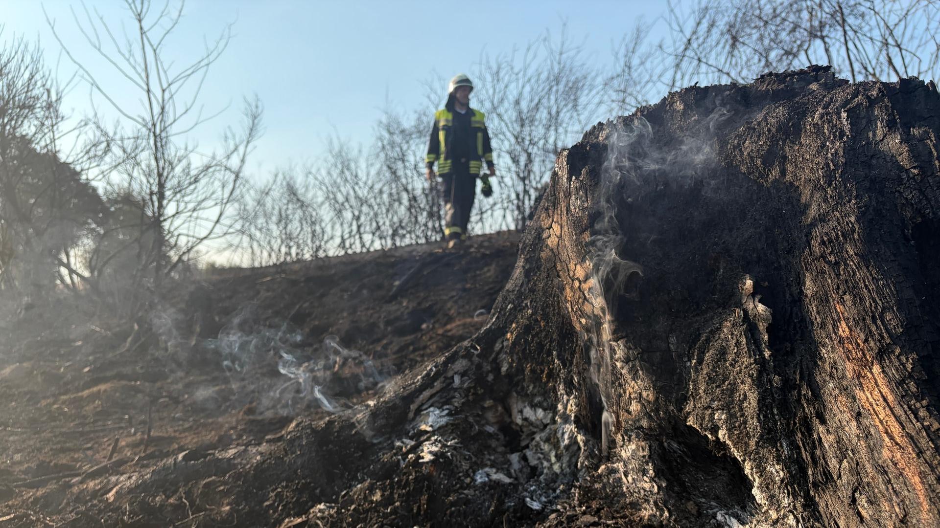 Liveticker zum Waldbrand in der Vordereifel: Anwohner wieder zu Hause, Löscharbeiten gehen weiter
