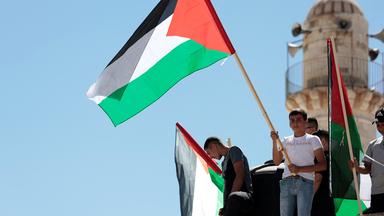 Jungen mit palästinensischen Flaggen