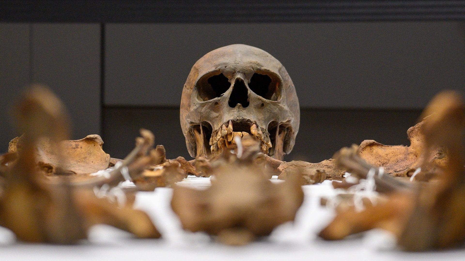 Die Gebeine Otto des Großen | picture alliance/dpa | Klaus-Dietmar Gabbert