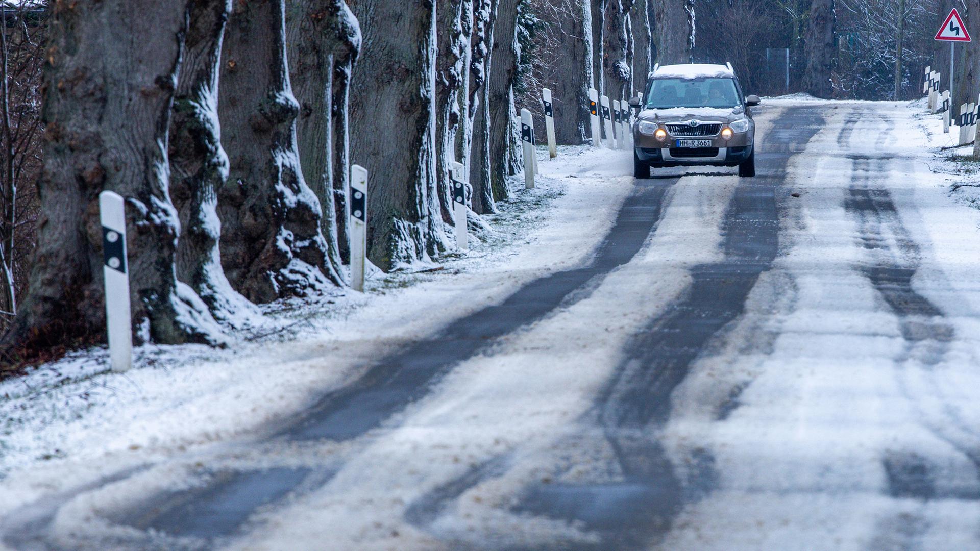 Ein Auto fährt durch eine verschneite Allee bei Tessin (Mecklenburg-Vorpommern). | dpa