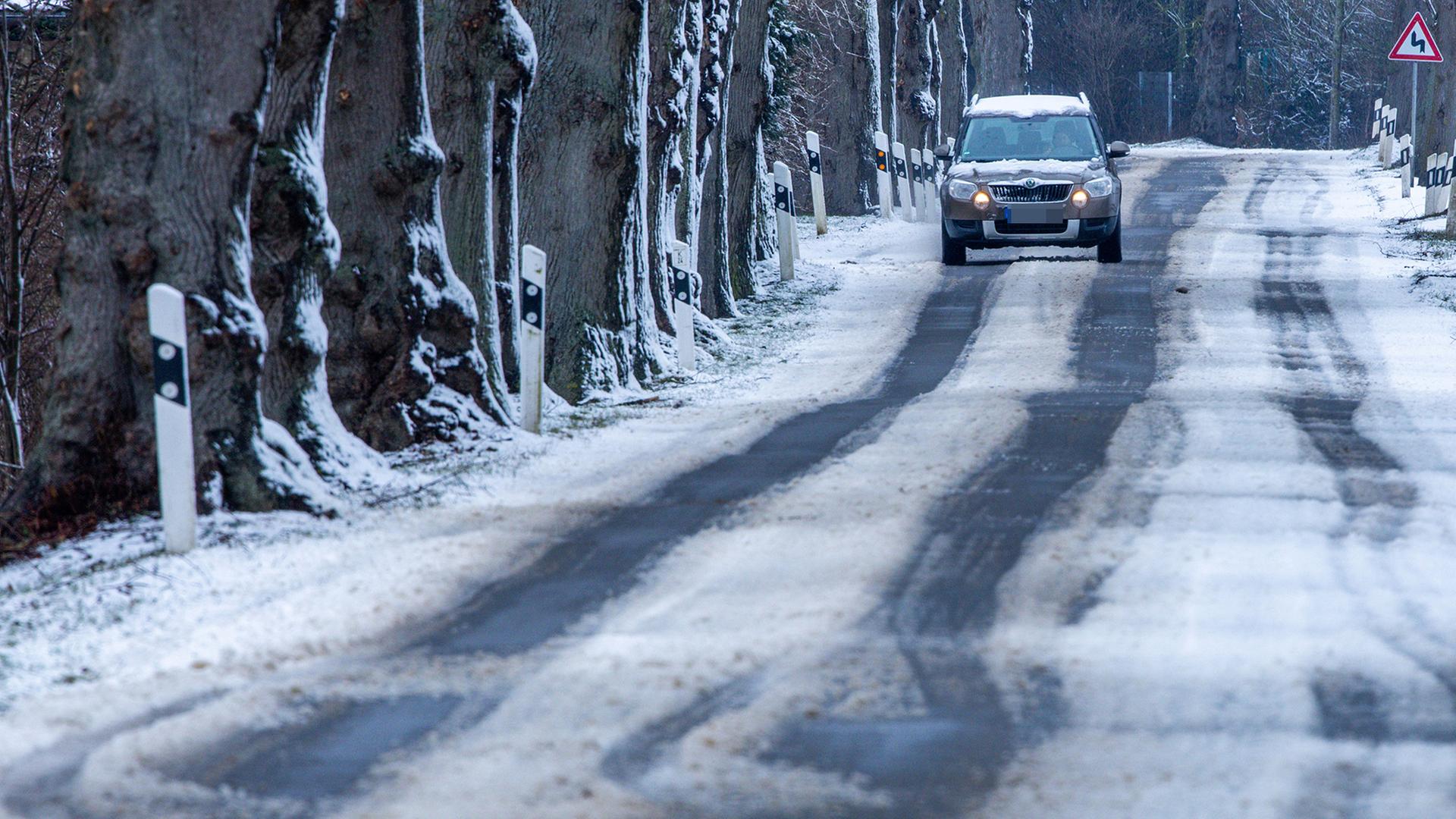 Ein Auto fährt durch eine verschneite Allee bei Tessin (Mecklenburg-Vorpommern). | dpa
