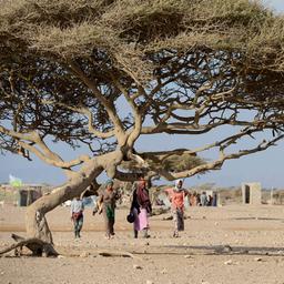 Äthiopische Migranten auf ihrem Weg über Jemen nach Saudi Arabien. (Archivbild: 08.02.2018)
