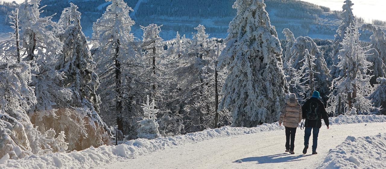 Wanderer durchqueren die Winterlandschaft auf dem Brocken.