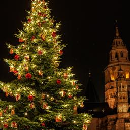 Ein beleuchteter Weihnachtsbaum mit dem Mainzer Dom im Hintergrund. An Weihnachten feiern viele Christin in Rheinland-Pfalz die Geburt von Jesus Christus.  