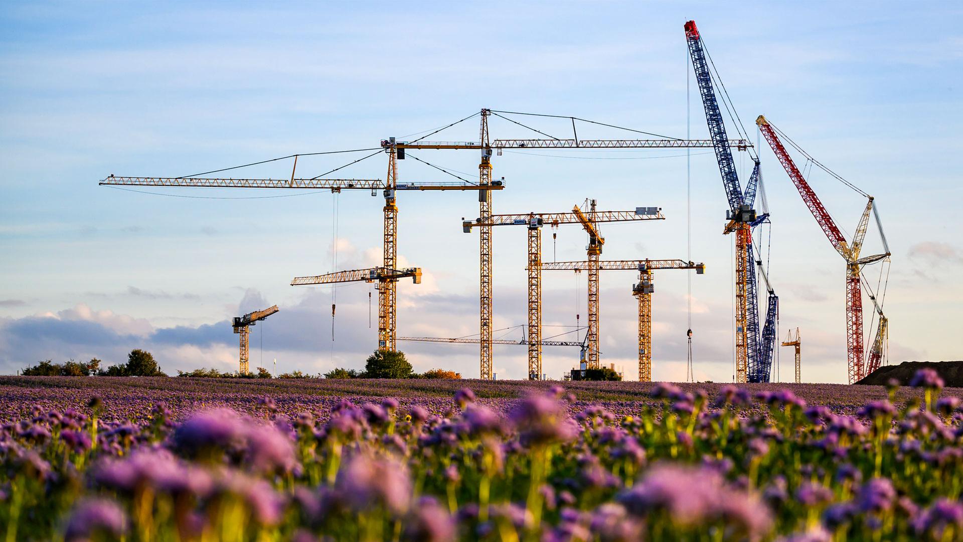 Baukräne stehen auf der Baustelle einer künftigen Chipfabrik. | picture alliance/dpa