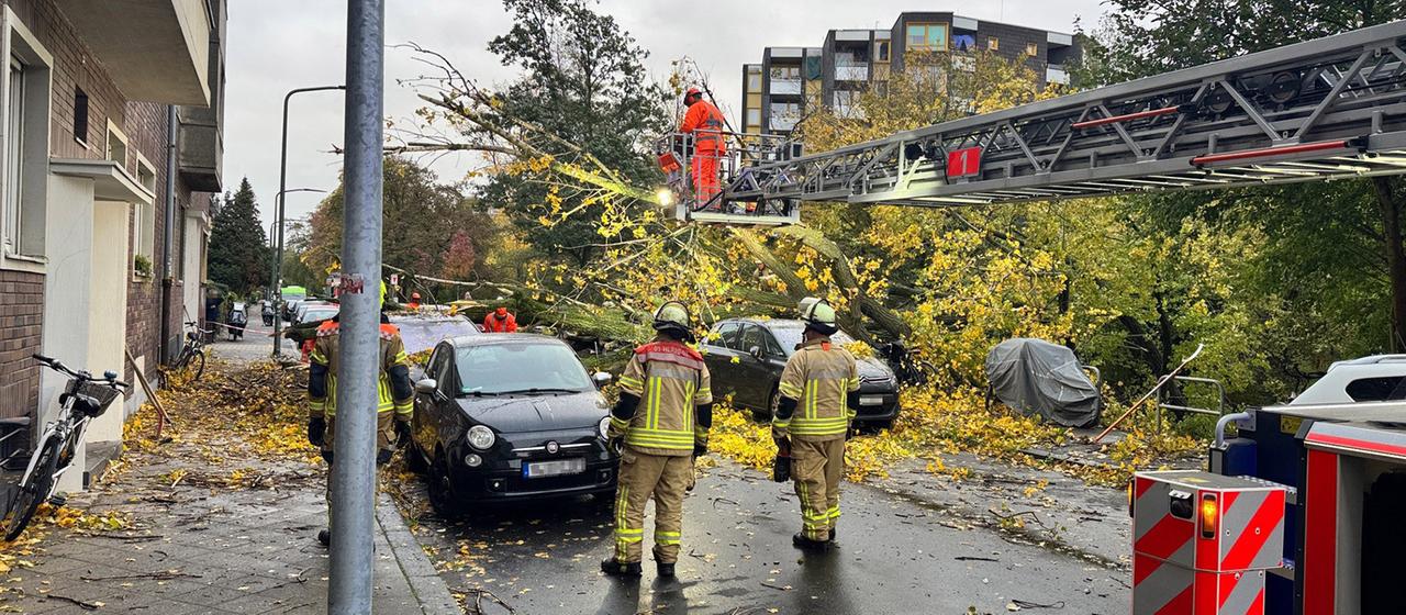 Die Feuerwehr arbeitet in Düsseldorf an einem umgestürzten Baum. | Feuerwehr Düsseldorf/dpa Die Feuerwehr arbeitet in Düsseldorf an einem umgestürzten Baum.