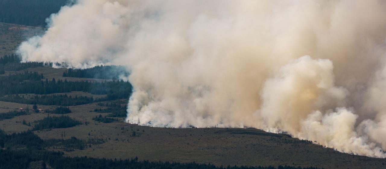 Eine große Rauchwand ist von Deutschland in Richtung des großen Waldbrands in Belgien im Gebiet Hohes Venn zu sehen