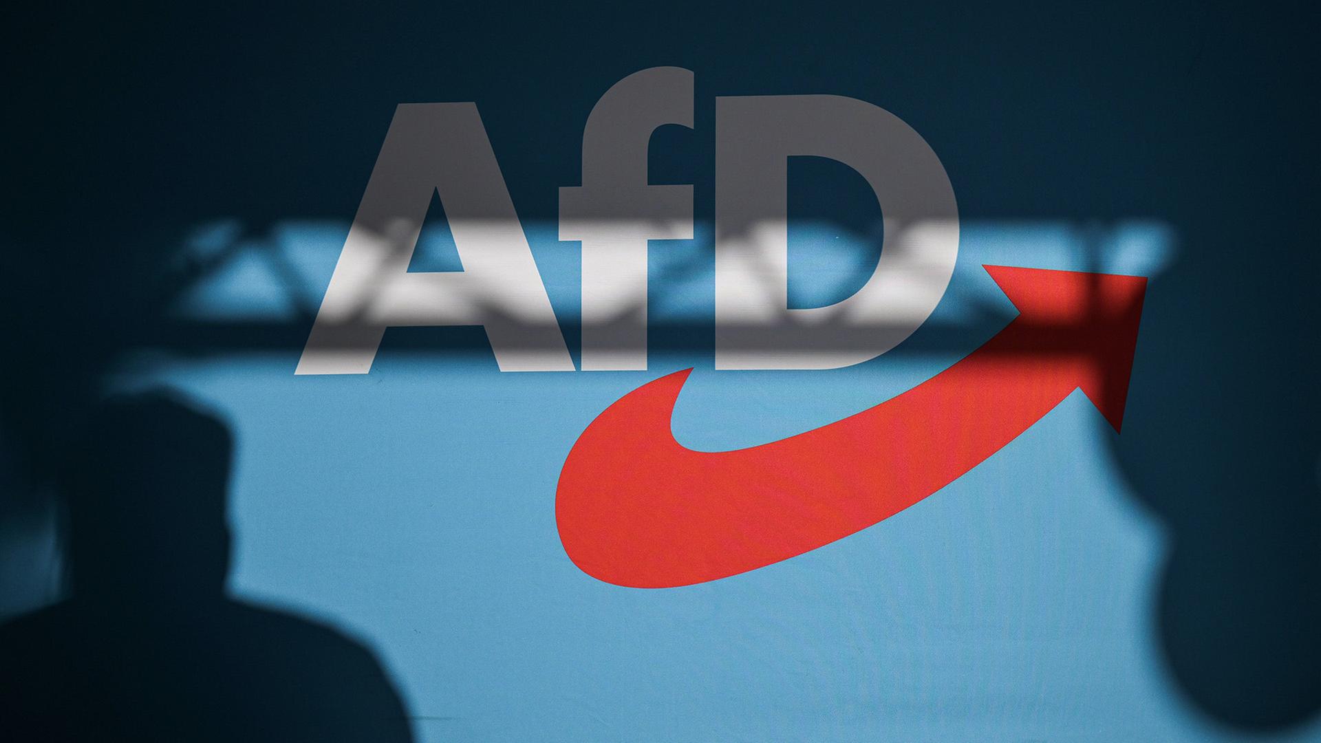 Ein Redner wirft einen Schatten auf eine Bühnenrückwand, die das AfD-Logo zeigt. | Hannes P Albert/dpa