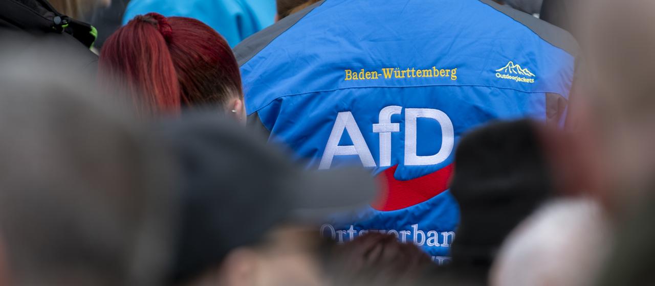Warum die AfD auch im Südwesten erfolgreich ist | tagesschau.de