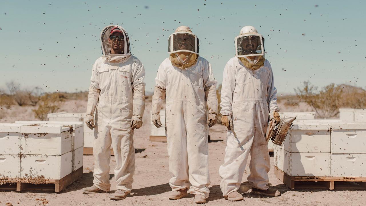 Niedersachsen World Press Photo: Oldenburg zeigt die besten Bilder der Welt