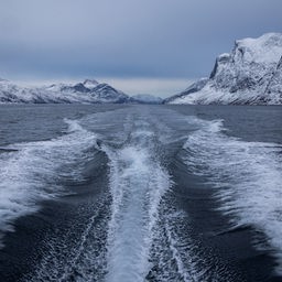 Blick auf den Nuuk-Fjord bei Kapisillit (Grönland).
