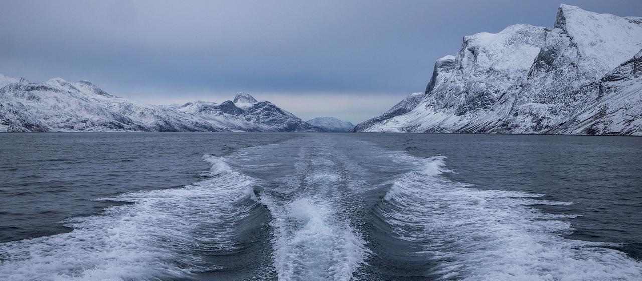 Blick auf den Nuuk-Fjord bei Kapisillit (Grönland).
