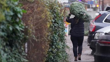 Eine Frau trägt eine Weihnachtstanne eine Straße entlang