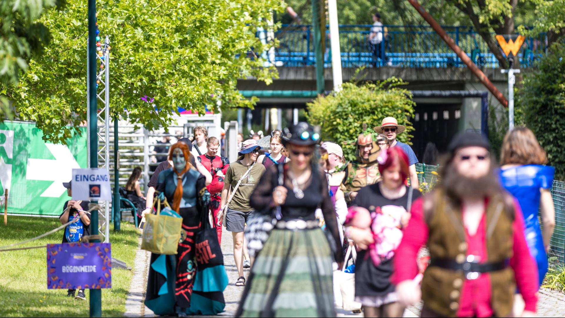 Science-Fiction- und Fantasy-Fans auf dem Elbenwald-Festival in Cottbus (Archivbild) | dpa