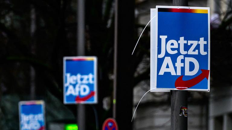 Wahlplakate der AfD in Berlin