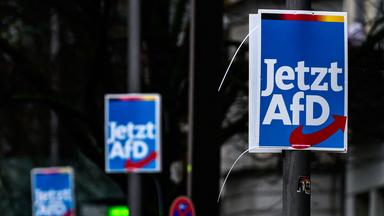 Wahlplakate der AfD in Berlin