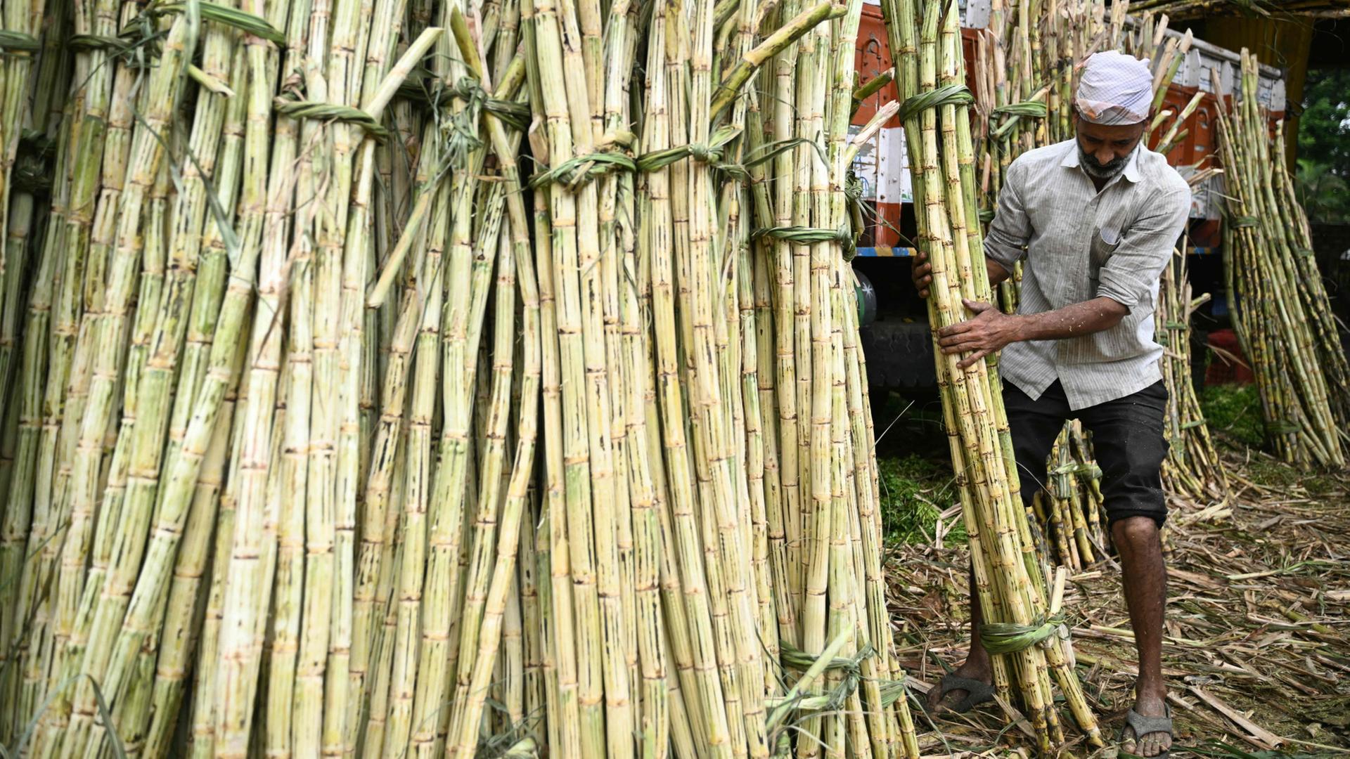 Indien: Preise für Zucker verdoppelt - Knappheit droht