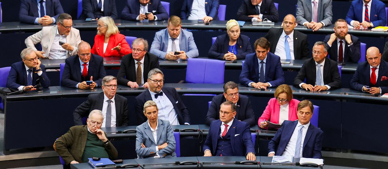 Blick auf die Fraktion der Alternative für Deutschland (AfD) im Deutschen Bundestag