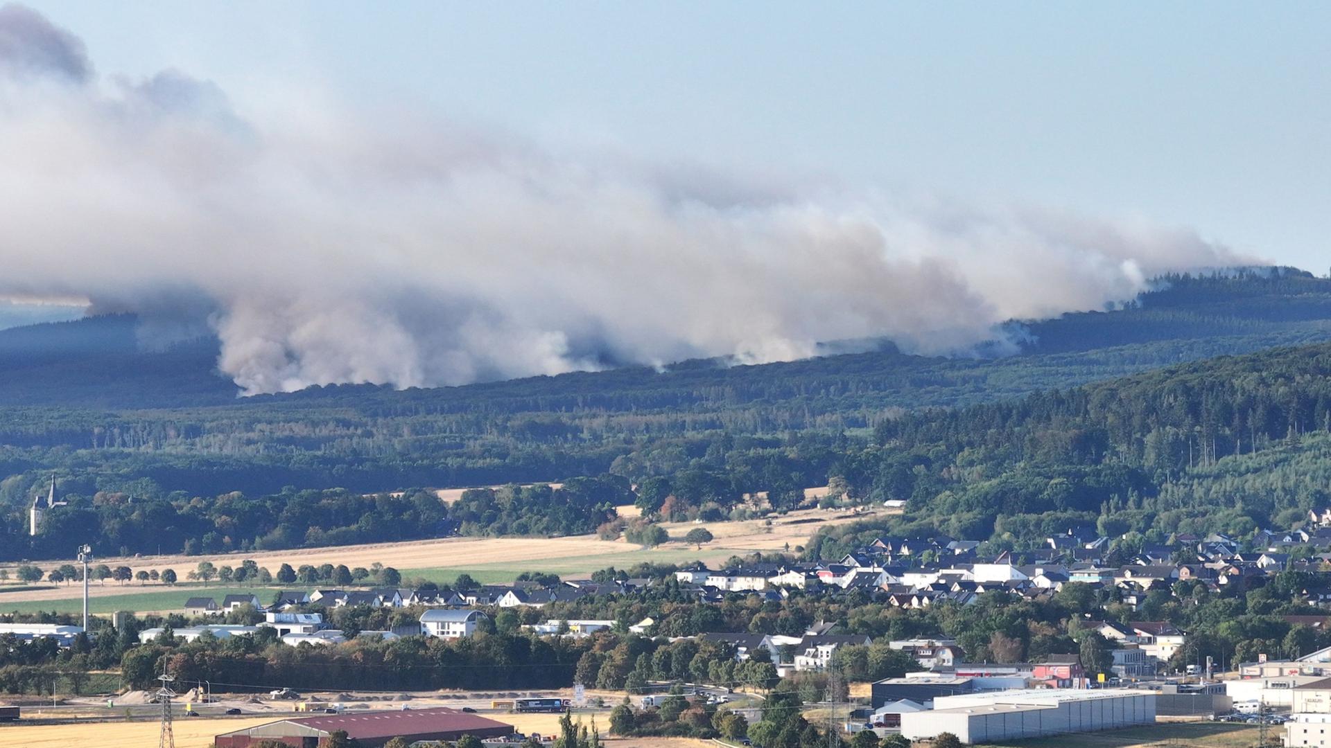 Rauch steigt bei einem Waldbrand im Hürtgenwald auf. | Sascha Thelen/dpa