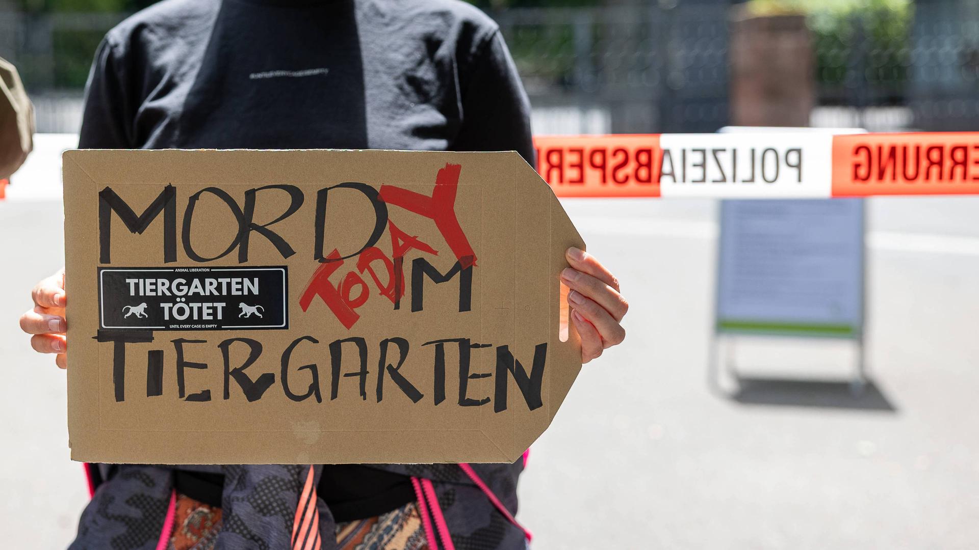 Nach Pavian-Tötung in Nürnberg: Wie halten es NRW-Zoos?