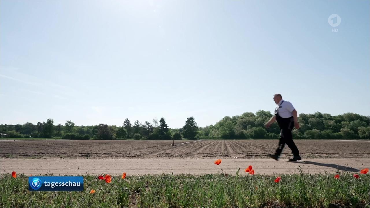 In Deutschland ist es zurzeit viel zu trocken